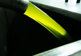 Türkiye’ nin Gururu Mut Zeytinyağı Avrupa’da Tescillendi